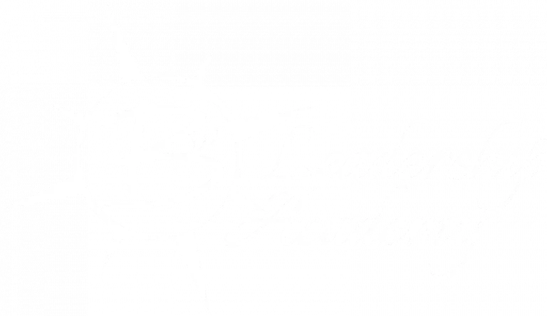 BW Leadership Academy Logo